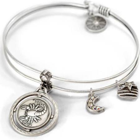 Zodiac Sign Astrology Silver Bangle Bracelet