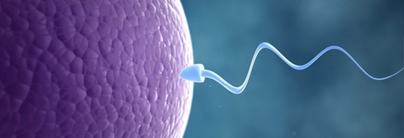 Semen Analysis – Double Whammy Infertility